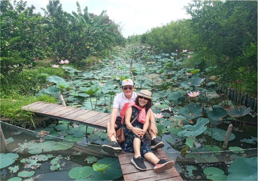 hồ sen cồn Sơn -  tour miền tây 2 ngày 1 đêm
