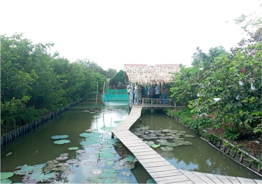 phong cảnh miệt vườn cồn Sơn -  tour miền tây 2 ngày 1 đêm