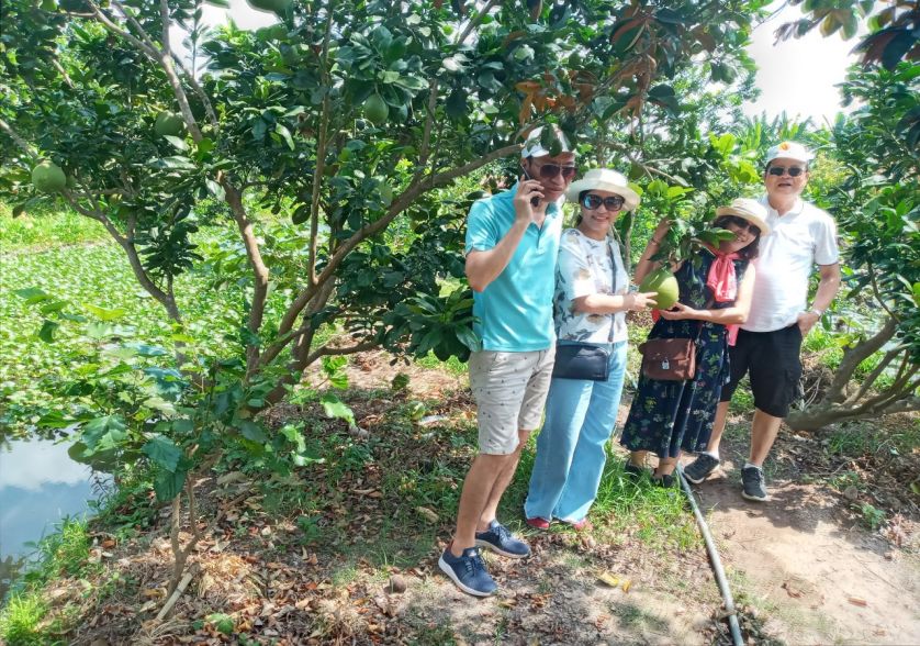 thăm vườn trái cây cồn Sơn -  tour miền tây 2 ngày 1 đêm