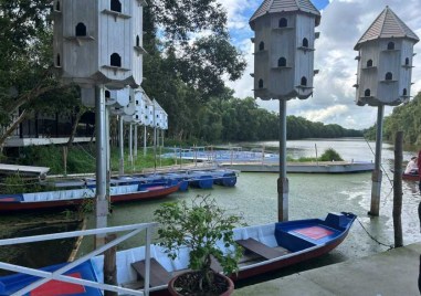 ben-tau-khu-bao-ton-dong-thap-muoi