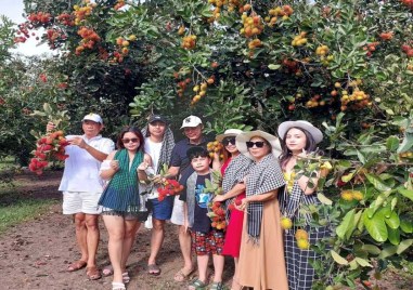 vuon-chom-chom-con-son-2026